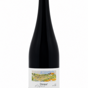 Divico Réserve 2023 – AOC Valais